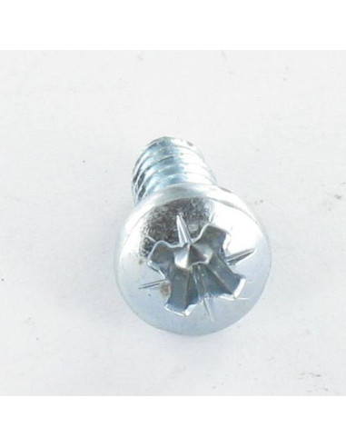 1 x Screw For Plastic wide domed head Pozi With...