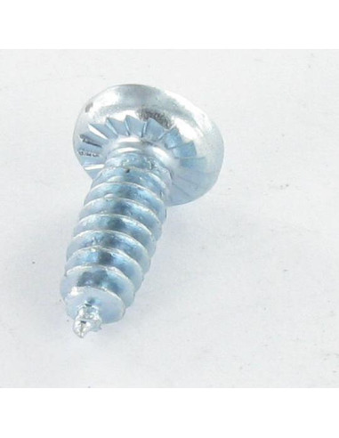 1 x Screw For Plastic wide domed head Pozi With...