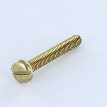 1 x Machine Screw wide domed head Slotted M2.5X3 Yellow Zinc micro screw