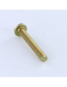 Machine Screw Large Pan Head Slotted M3X12 Yellow Zinc... 2