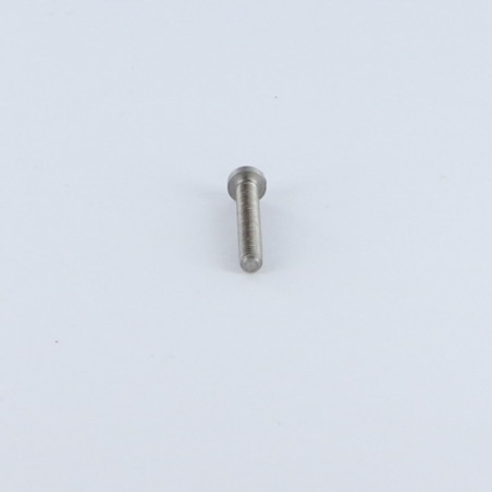 1 x Machine Screw wide domed head Slotted M2.5X40 Steel micro screw