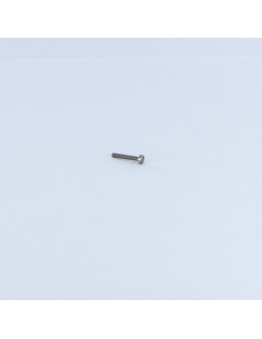 Machine Screw Pan Head Slotted M1.6X25 Steel micro screw