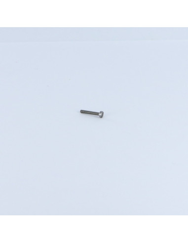 1 x Machine Screw Pan Head Slotted M2X50 Steel...