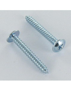 Thread Rolling Screw Mushroom Pozi 4.8X9.5 Zinc Plated...