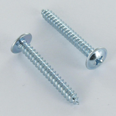 1 x Thread Rolling Screw Mushroom Pozi 4.8X9.5 Zinc Plated A/POINT