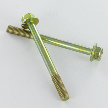 1 x Bolt Partial Thread Hexagonal Head M5X55 Thread Length: 16 Flange With Serration Class 6.8 Yellow Zinc