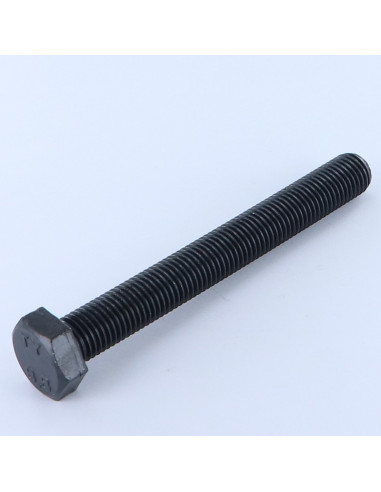 1 x Machine Screw Hexagonal Head M12X100 Full...