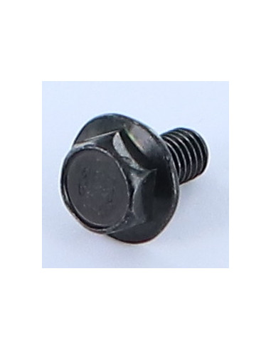 1 x Machine Screw Hexagonal Head M6X12 Flanche...