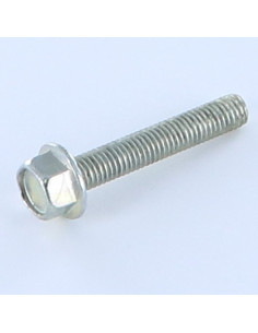 Machine Screw Hexagonal Head M6X40 Zinc Plated Flange...