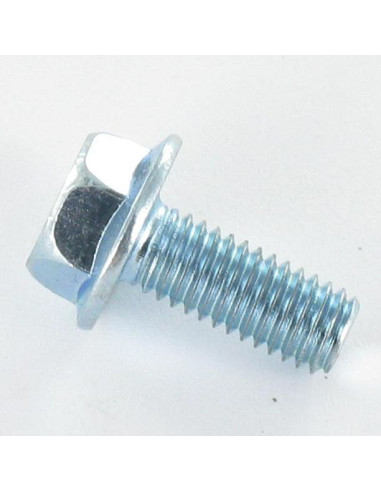 1 x Machine Screw Hexagonal Head M6X10 Flanche...
