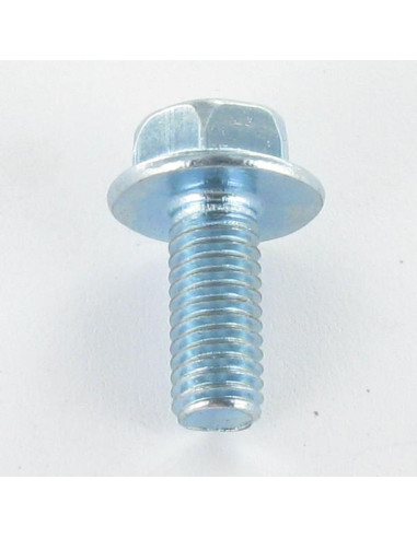 1 x Machine Screw Hexagonal Head M6X10 Flanche...