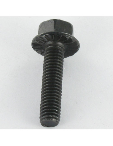 1 x Machine Screw Hexagonal Head M6X12 Black...