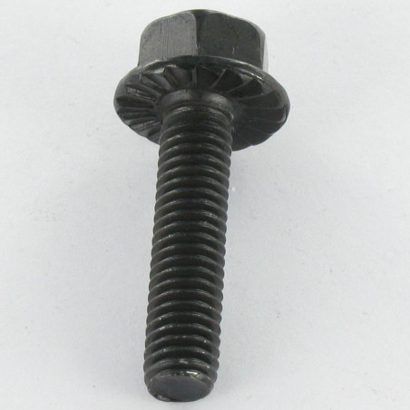 1 x Machine Screw Hexagonal Head M6X12 Black Zinc Plated Flange With Serration
