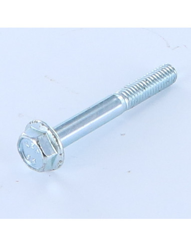 1 x Machine Screw Hexagonal Head M6X45 Flanche...