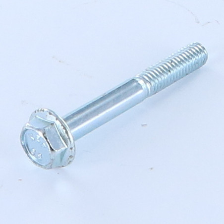 1 x Machine Screw Hexagonal Head M6X45 Flanche Without Serration Zinc Plated