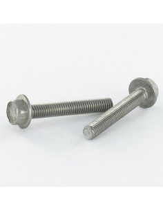 Machine Screw Hexagonal Head M6X25 Flanche Without...
