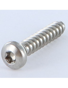 Thread Rolling Screw wide domed head Torx 5.5X25...