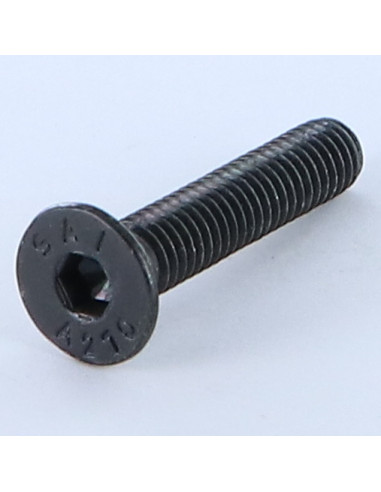 1 x Machine Screw Stainless Steel A2 Flat Head...