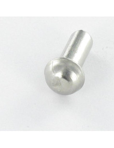 Solid Rivet Stainless Steel Round Head 4X10 2