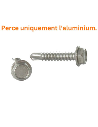 1 x Self Drilling Hexagonal Head 4.8X22...