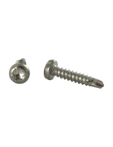 1 x Self Drilling Pan Head T15 3.9X19 Stainless...