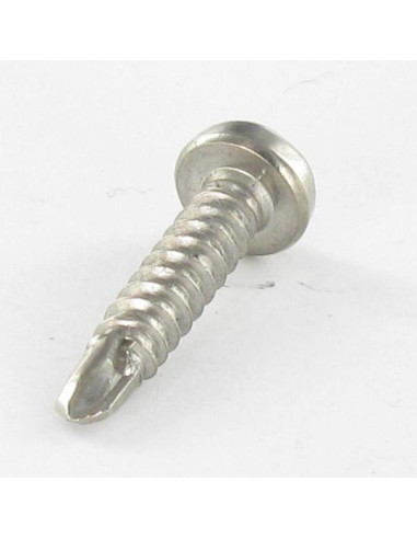 1 x Self Drilling Pan Head T15 3.9X19 Stainless...