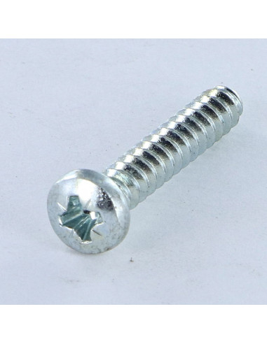 1 x Screw For Plastic Pan Head Pozi 4.2X1"...