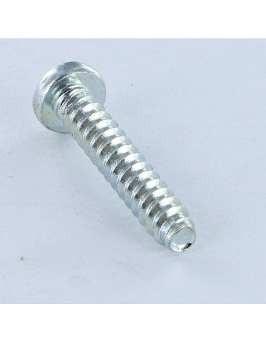 1 x Screw For Plastic Pan Head Pozi 4.2X1"...