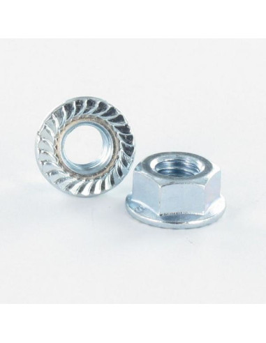 1 x Flange nut With Serration M6 CL 8 Zinc Plated