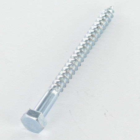 1 x Coach Screw 12X120 Zinc Plated