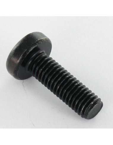 1 x Machine Screw wide domed head T30 M6X10...