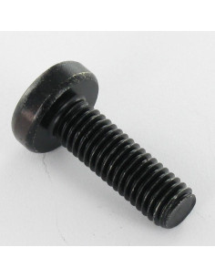 Machine Screw Large Pan Head T30 M6X12 Black Zinc Plated 2