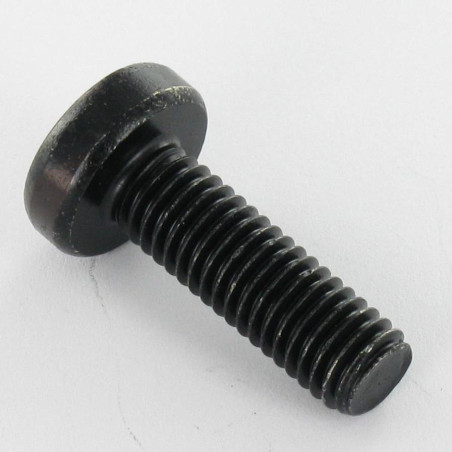 1 x Machine Screw Large Pan Head T30 M6X12 Black Zinc Plated