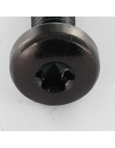 1 x Machine Screw wide domed head T30 M6X12...