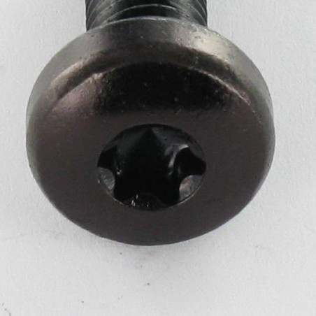 1 x Machine Screw Large Pan Head T30 M6X12 Black Zinc Plated