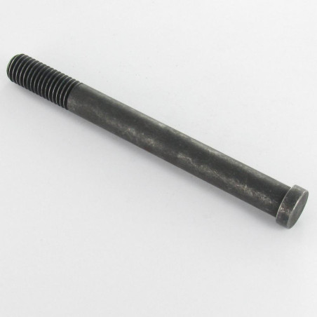 1 x Machine Screw Pan Head Not Slotted M12X120 Thread Length: 30 Head Diameter: 15/5 Class 8.8 Steel