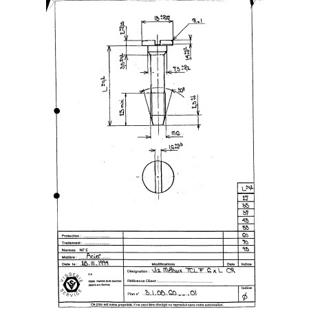1 x Machine Screw Large Pan Head Hexagon Recess M6X27 With Serration Steel