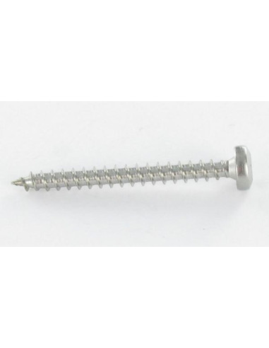 1 x Chipboard Screw Round Head 3X15 T10 Zinc...