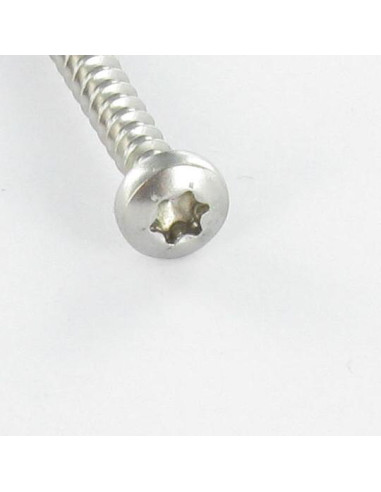 1 x Chipboard Screw Round Head 3X15 T10 Zinc...