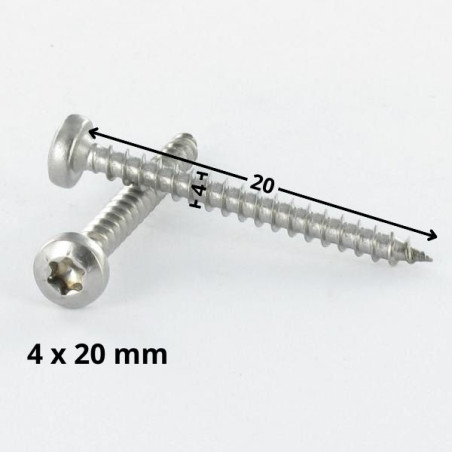 1 x Chipboard Screw Round Head 4X20 T20 Zinc Plated