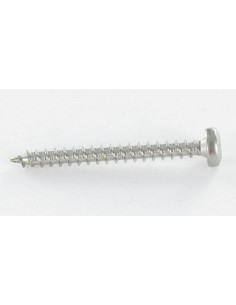 Savis Chipsboard Screw Round Head 5X20 T25 Zinc Plated 2