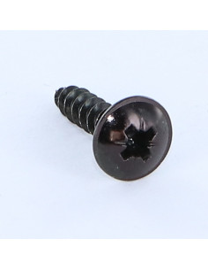 Chipboard Screw Mushroom Pozi PZ2 4.5X20 Black Zinc Plated 2