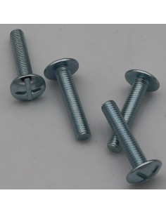Small Bag 4 Machine Screw Mushroom M8X40 Zinc Plated