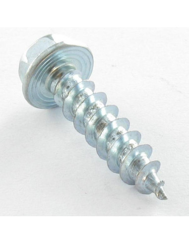 1 x Savis Chipsboard Screw Hexagonal Head...
