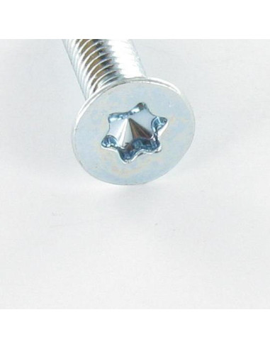 1 x Machine Screw Countersunk Head T30 M6X30...