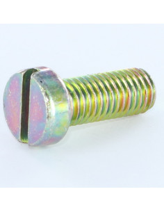 Machine Screw Pan Head Slotted M4X12 Yellow Zinc