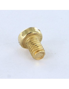 Machine Screw Pan Head Slotted M4X6 Brass Plated Steel 2