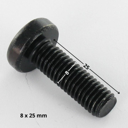 1 x Machine Screw wide domed head T40 M8X25 Black Zinc Plated