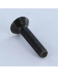 Machine Screw Countersunk Head Not Slotted M5X27 Black... 2