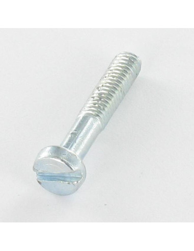 1 x Machine Screw Pan Head Slotted M4X22 Thread...